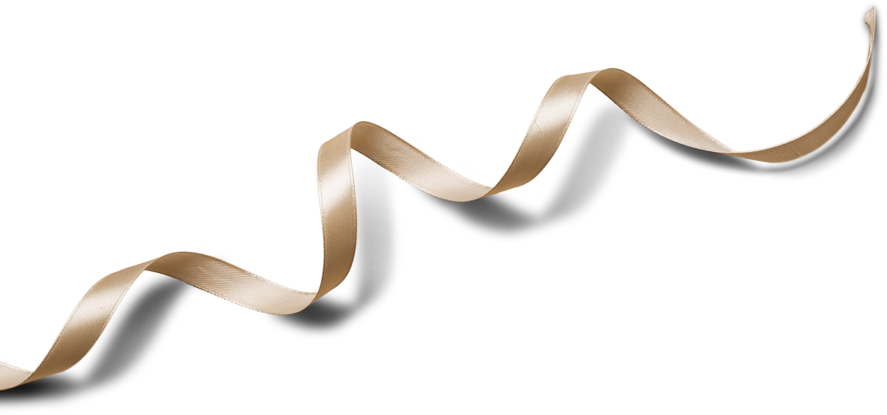 Gold Curly Ribbon.